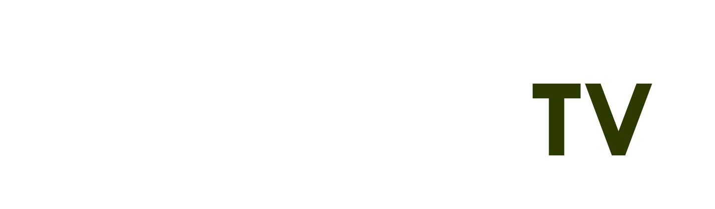 vneid.gov.vn